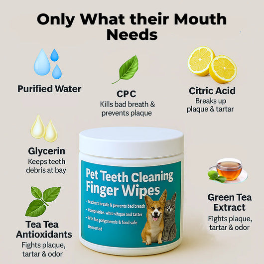 GentleClean™ Dental Wipes